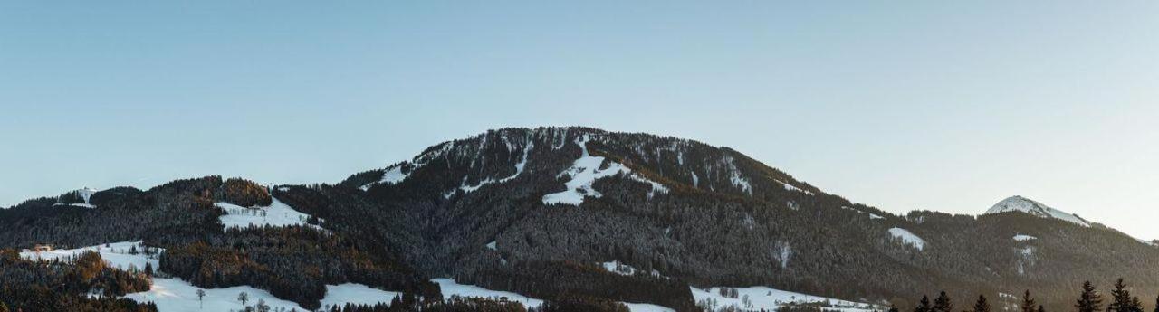 Ferienwohnung Bergliebe Scheffau am Wilden Kaiser Exterior foto